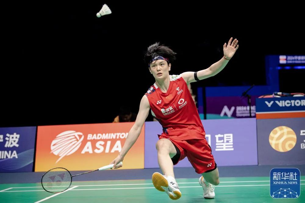 带来了新的 带来了新的